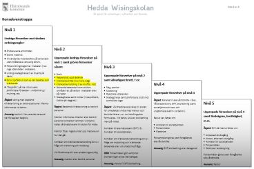 Konsekvenstrappa som verktyg