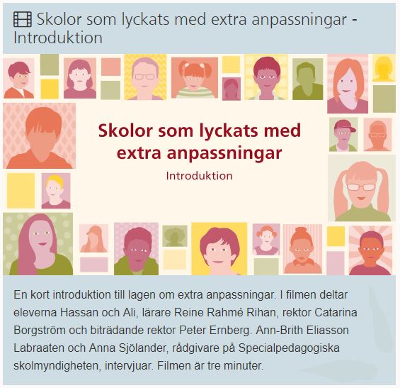 Skolor som lyckas med extra anpassningar
