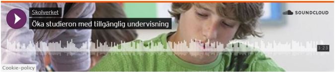 tillgängligt lärande från skolverket